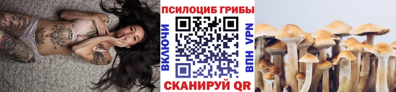 Псилоцибиновые грибы ЛСД Карабаново